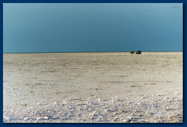 602x401 pixels (92K)